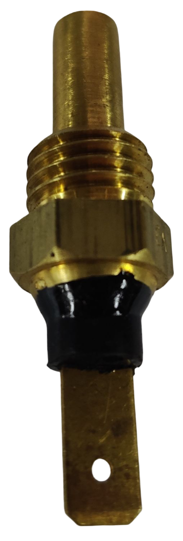 Renault temperature sensor